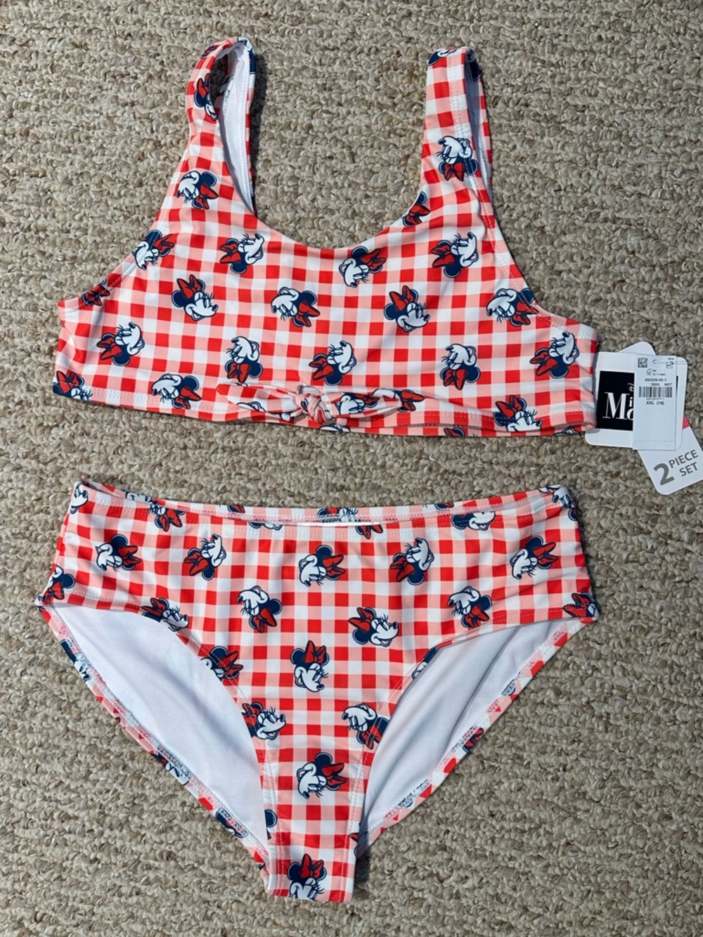 Disney Red Gingham Minnie Mouse Bikini Set
